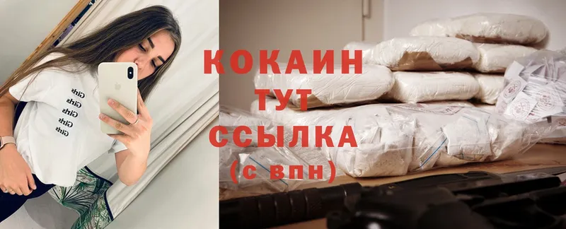 Cocaine FishScale  где можно купить   Нижнекамск 