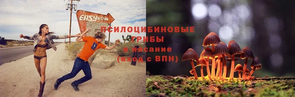 соль ск Осинники