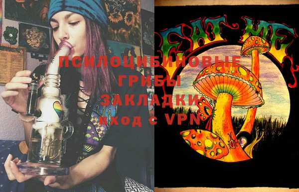 мдпв Болхов