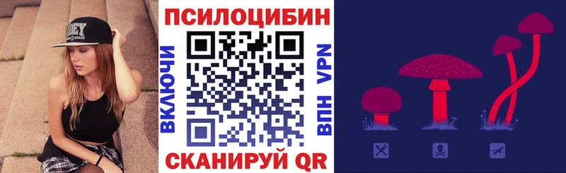 Галлюциногенные грибы прущие грибы  как найти закладки  Нижнекамск 