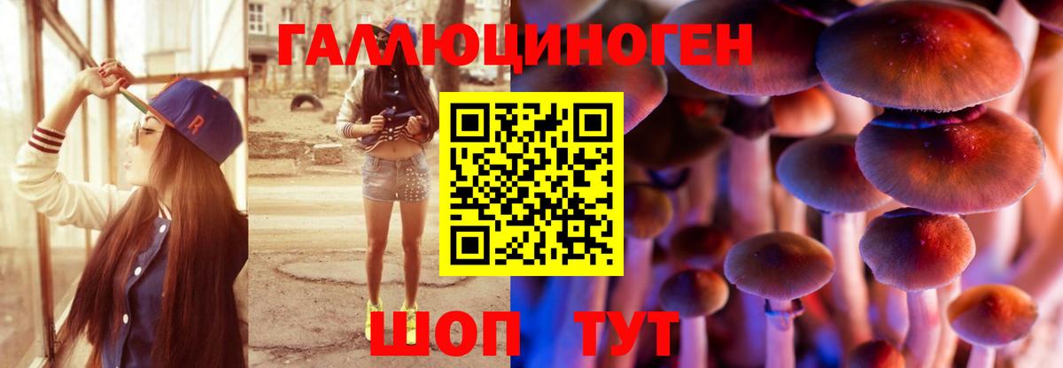 Галлюциногенные грибы прущие грибы  Вход с VPN  Нижнекамск 
