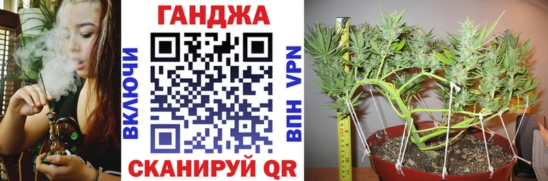 omg как зайти  Нижнекамск  Канабис конопля  закладки 
